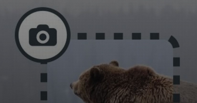 Screenshot Tools, Tips, and Shortcuts: How to Capture Anything on Your Screen