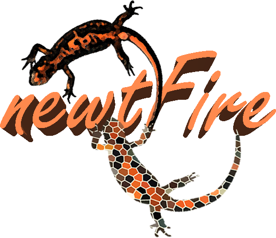 newtFire {DH}